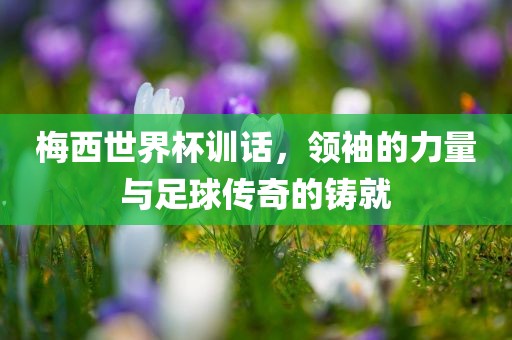 梅西世界杯训话，领袖的力量与足球传奇的铸就