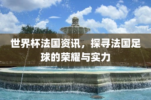 世界杯法国资讯，探寻法国足球的荣耀与实力