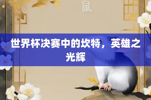 世界杯决赛中的坎特，英雄之光辉