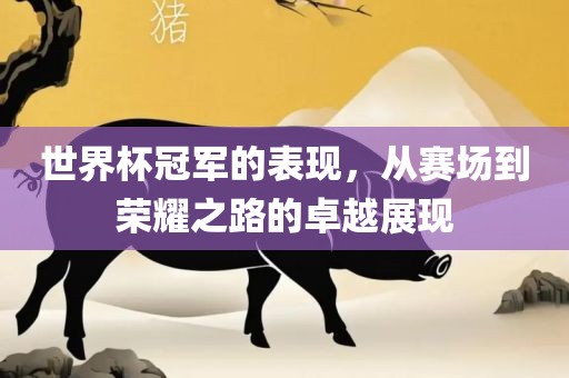 世界杯冠军的表现，从赛场到荣耀之路的卓越展现