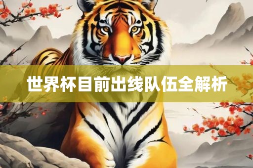 世界杯目前出线队伍全解析