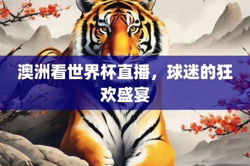 澳洲看世界杯直播，球迷的狂欢盛宴