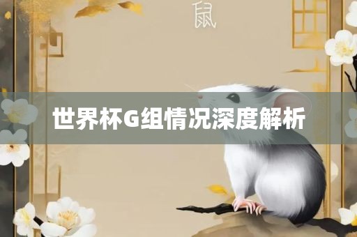 世界杯G组情况深度解析