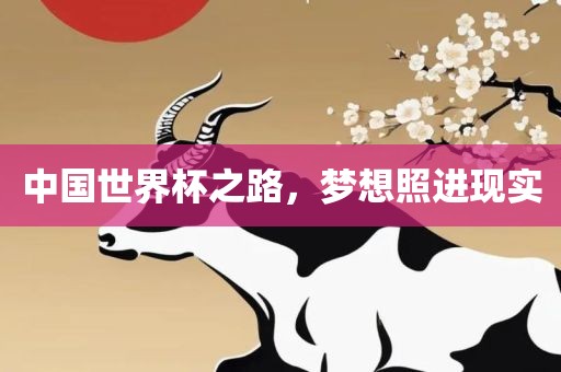 中国世界杯之路，梦想照进现实
