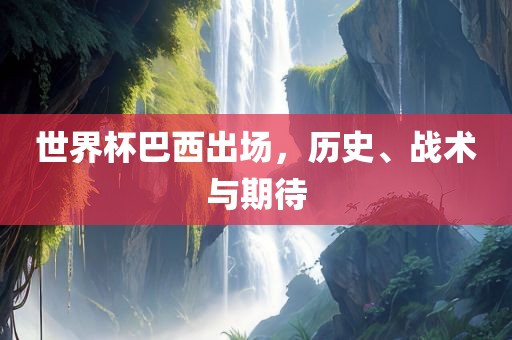 世界杯巴西出场，历史、战术与期待