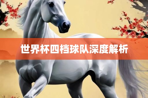 世界杯四档球队深度解析