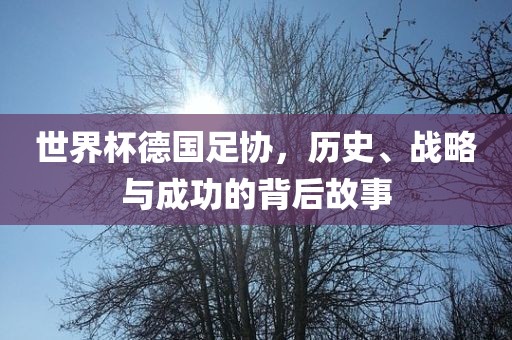 世界杯德国足协，历史、战略与成功的背后故事