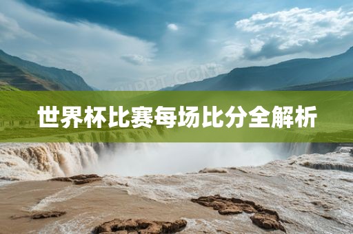 世界杯比赛每场比分全解析
