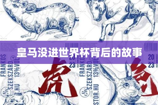 皇马没进世界杯背后的故事