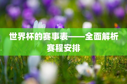 世界杯的赛事表——全面解析赛程安排
