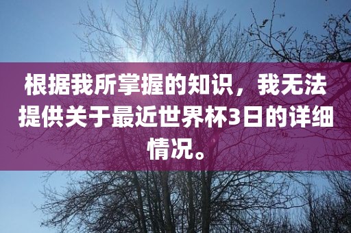 根据我所掌握的知识，我无法提供关于最近世界杯3日的详细情况。