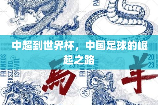 中超到世界杯，中国足球的崛起之路