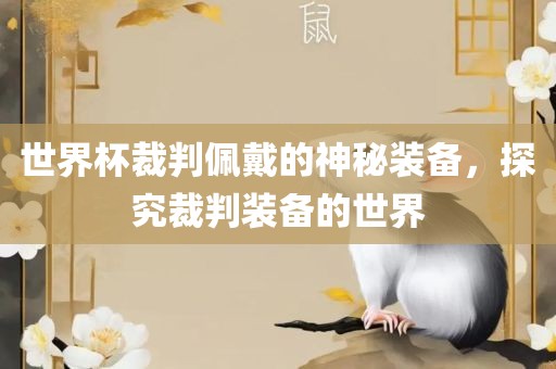世界杯裁判佩戴的神秘装备，探究裁判装备的世界