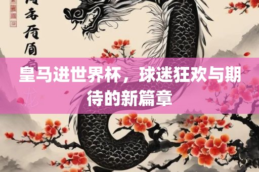 皇马进世界杯，球迷狂欢与期待的新篇章