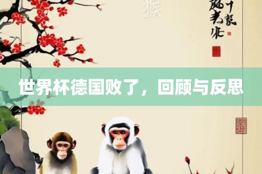 世界杯德国败了，回顾与反思