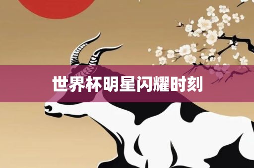 明星闪耀