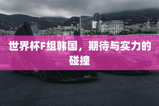 世界杯F组韩国，期待与实力的碰撞