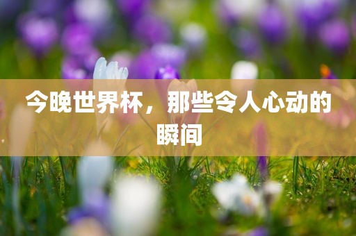 今晚世界杯，那些令人心动的瞬间