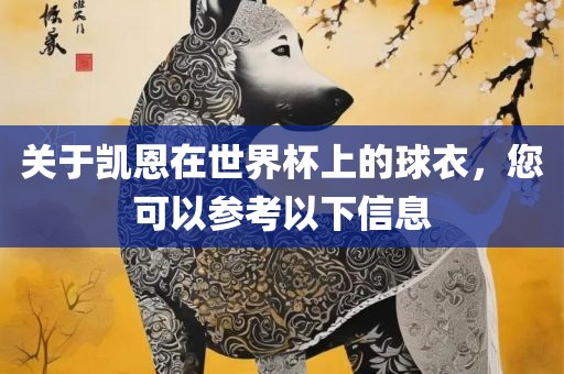 关于凯恩在世界杯上的球衣，您可以参考以下信息