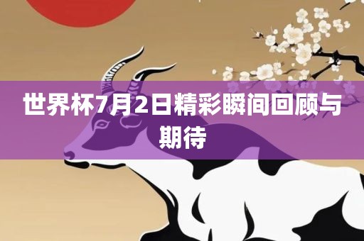 世界杯7月2日精彩瞬间回顾与期待