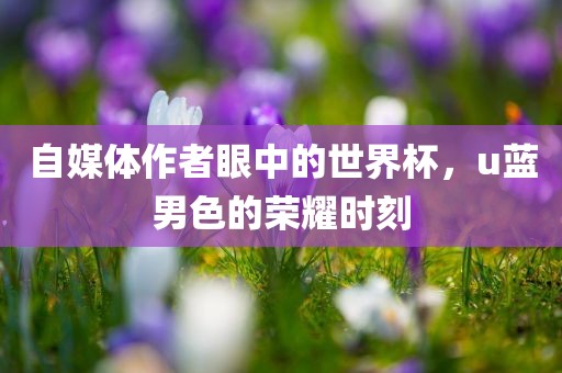 自媒体作者眼中的世界杯，u蓝男色的荣耀时刻