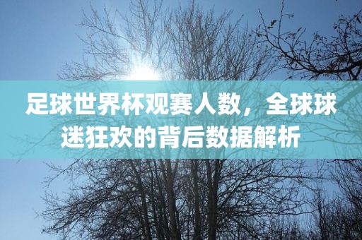 足球世界杯观赛人数，全球球迷狂欢的背后数据解析
