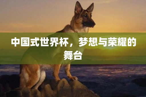 中国式世界杯，梦想与荣耀的舞台