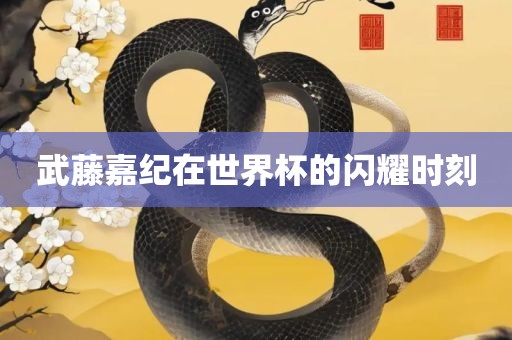 武藤嘉纪在世界杯的闪耀时刻