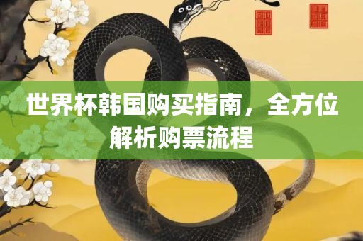 世界杯韩国购买指南，全方位解析购票流程