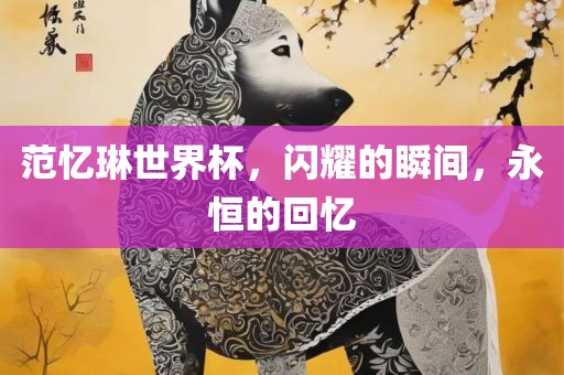 范忆琳世界杯，闪耀的瞬间，永恒的回忆