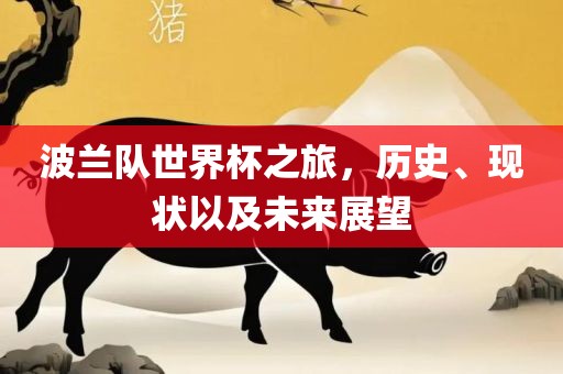 波兰队世界杯之旅，历史、现状以及未来展望