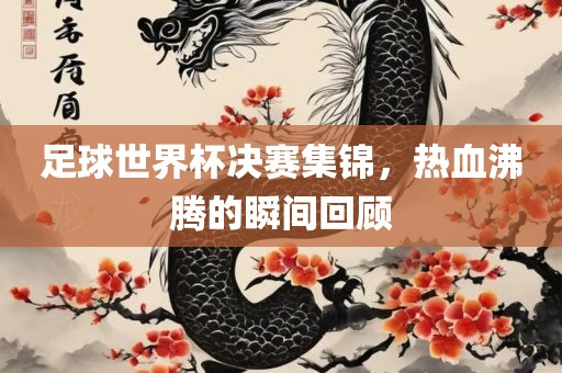 足球世界杯决赛集锦，热血沸腾的瞬间回顾