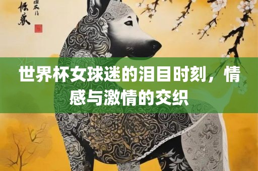 世界杯女球迷的泪目时刻，情感与激情的交织