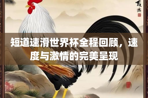 短道速滑世界杯全程回顾，速度与激情的完美呈现