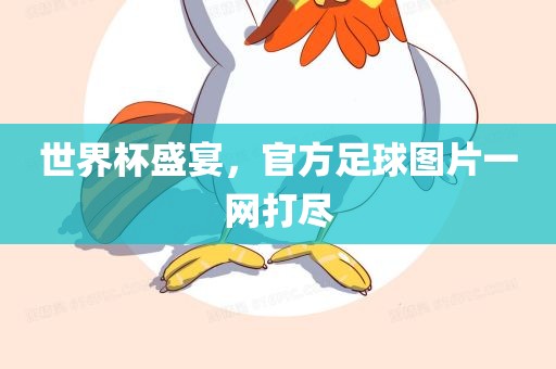 世界杯盛宴，官方足球图片一网打尽