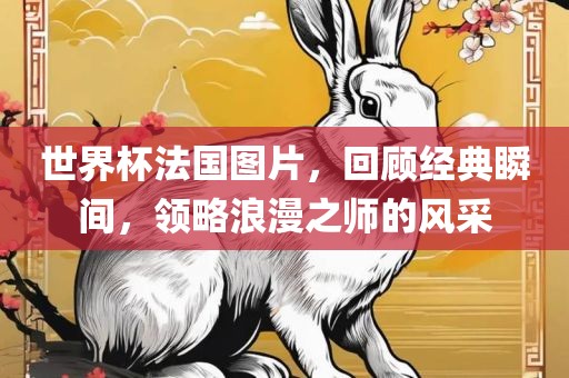 世界杯法国图片，回顾经典瞬间，领略浪漫之师的风采