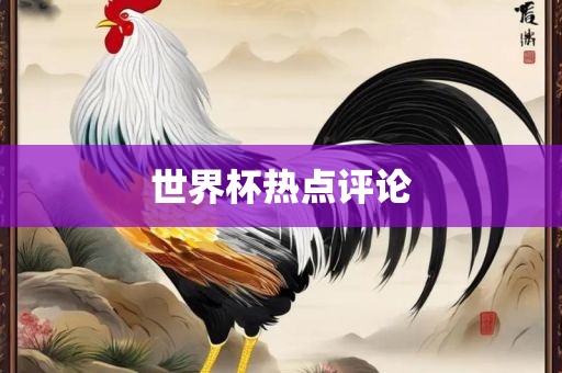 世界杯热点评论