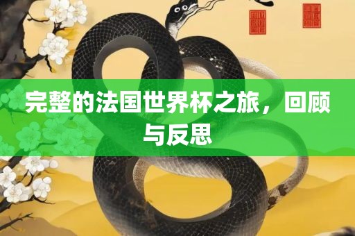 完整的法国世界杯之旅，回顾与反思