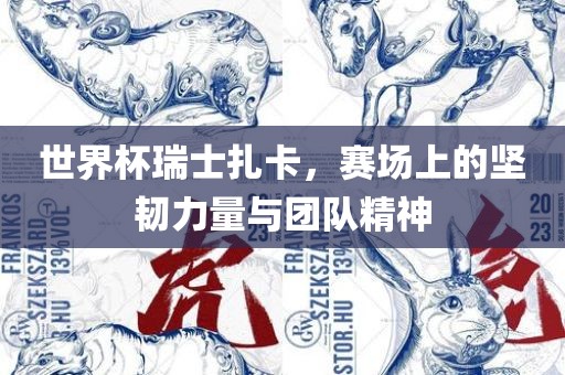 世界杯瑞士扎卡，赛场上的坚韧力量与团队精神