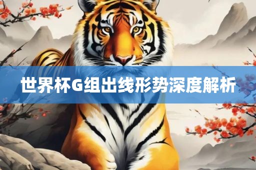 世界杯G组出线形势深度解析