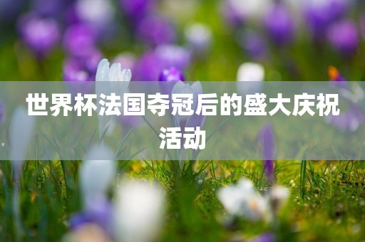 世界杯法国夺冠后的盛大庆祝活动