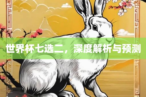 世界杯七选二，深度解析与预测