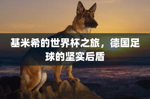 基米希的世界杯之旅，德国足球的坚实后盾