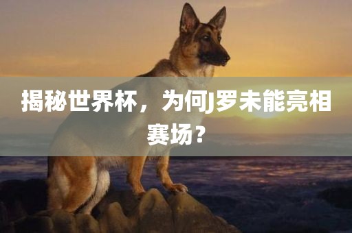 揭秘世界杯，为何J罗未能亮相赛场？