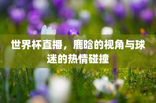 世界杯直播，鹿晗的视角与球迷的热情碰撞