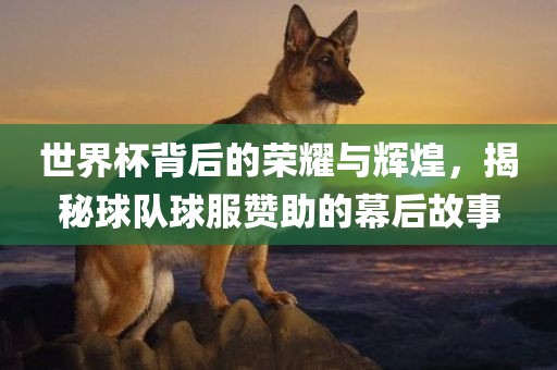 世界杯背后的荣耀与辉煌，揭秘球队球服赞助的幕后故事