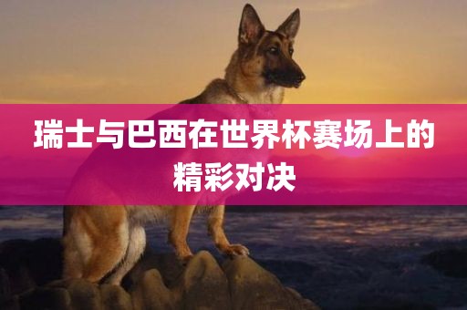 瑞士与巴西在世界杯赛场上的精彩对决