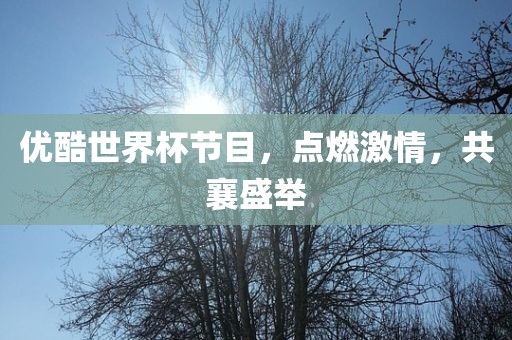 优酷世界杯节目，点燃激情，共襄盛举