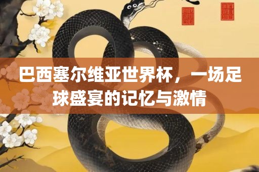 巴西塞尔维亚世界杯，一场足球盛宴的记忆与激情