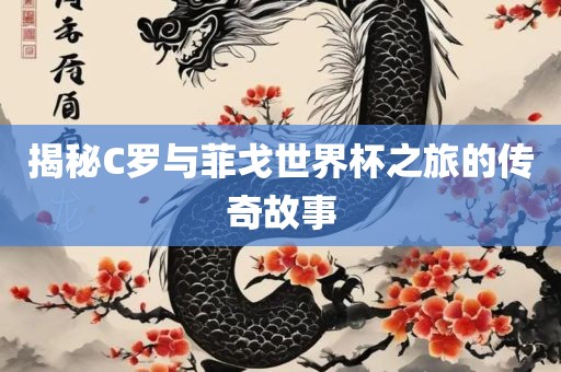 揭秘C罗与菲戈世界杯之旅的传奇故事